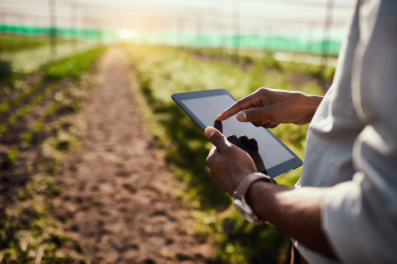 Cropped shot of an unrecognizable male farmer using a tablet while working on his farm